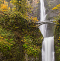 Autumn at Multnomah